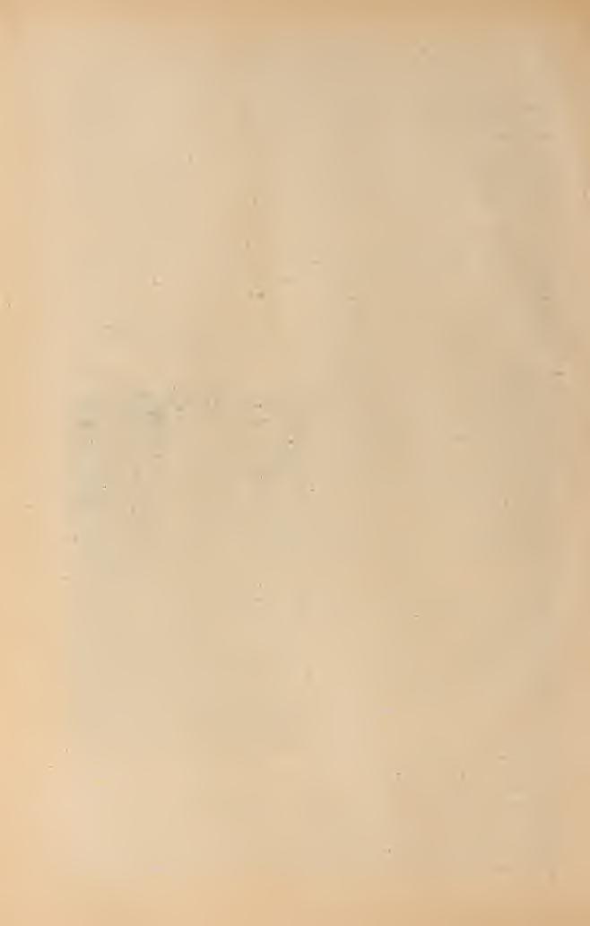 2 SÜMEGHY JÓZSEF Horusitzky Henrik a csehországi Hoc-Oujezden született 1870. augusztus 3-án.