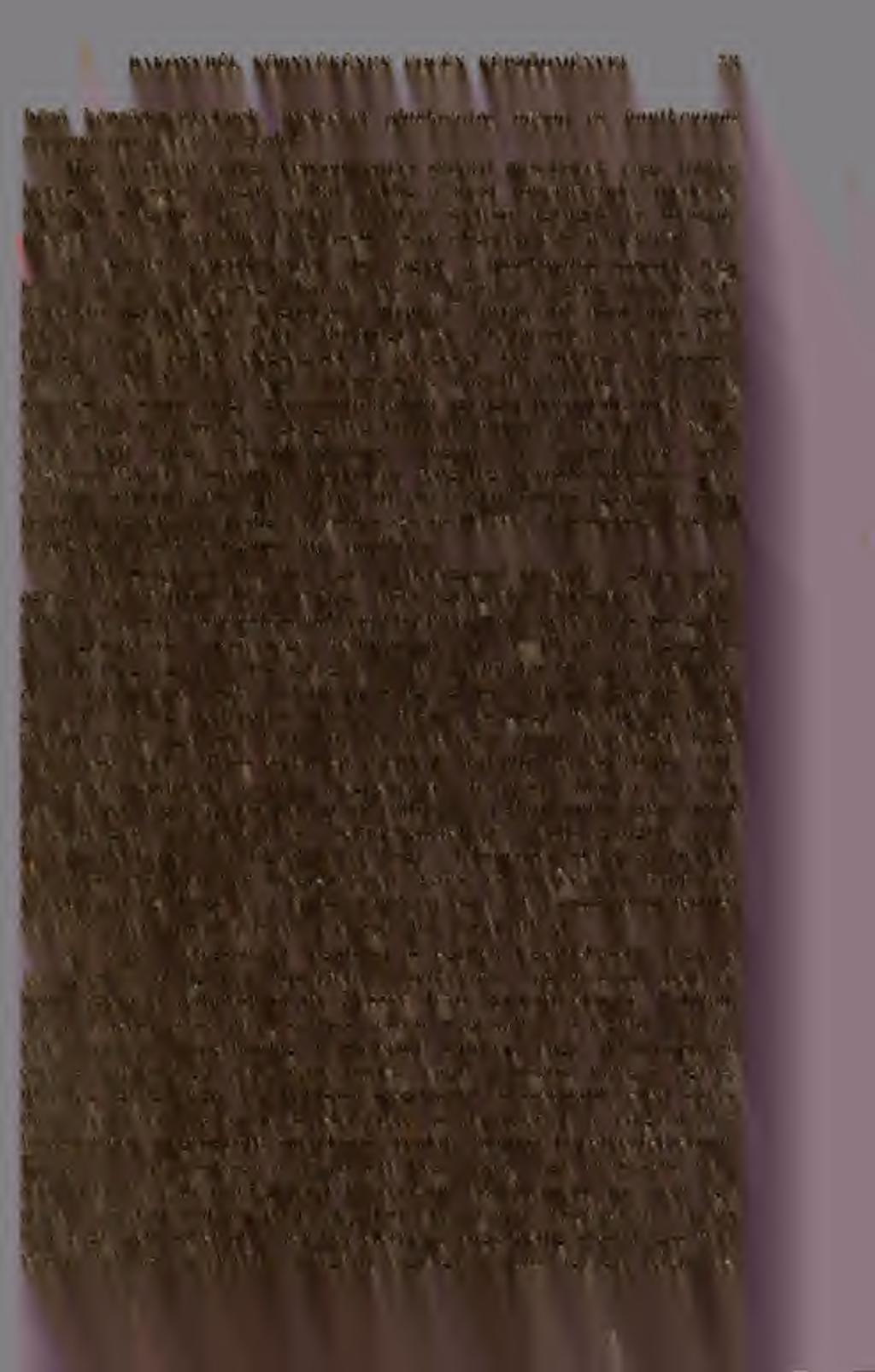 2 BAKONYBÉL KÖRNYÉKÉNEK EOCÉN KÉPZDMÉNYEI r>3 bözö képzdményeknek, melyeket glaukonitos agyag és hantkeninás agyagmárga néven tárgyalok.
