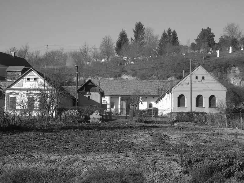 hatására megváltozott. A növénytermesztésben megjelent a búza és a burgonya, valamint a németséghez szorosan kapcsolódó szőlőművelés. A pásztorkodást felváltotta az istállózó állattartás.