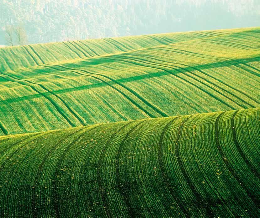 Termesztéstechnológiai ajánlat 2019 TARTALOMJEGYZÉK... KUKORICA VETŐMAGOK. 53 Artesian nemesítési technológia. 55 AgriClime Osztozunk a kockázatvállalásban. 58 Artesian kukorica hibridek.