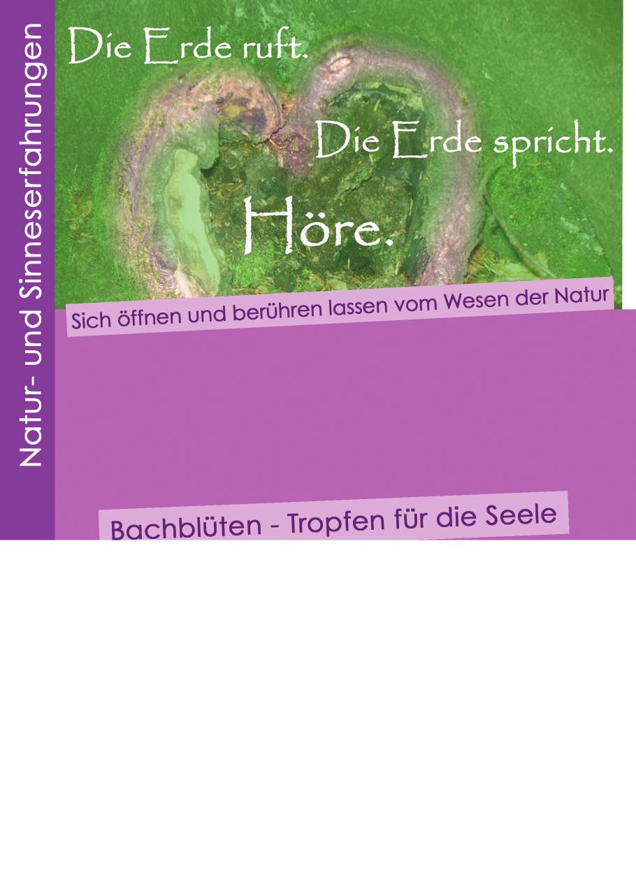 WirlebenmiderErde,nichaufihr.Aneinem Wochenendeerfahren wirbewuseineverbindungmibäumen,pflanzenundtieren.