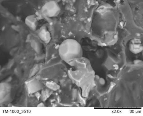 Ezek EDS vizsgálatakor és elemzésekor azt tapasztaltuk, hogy a SiC szemcsék környezetében a bioanyag felbomlásakor a reagensben lévő nyomelemek feldúsultak és a szilíciummal együtt karbonizálódtak.