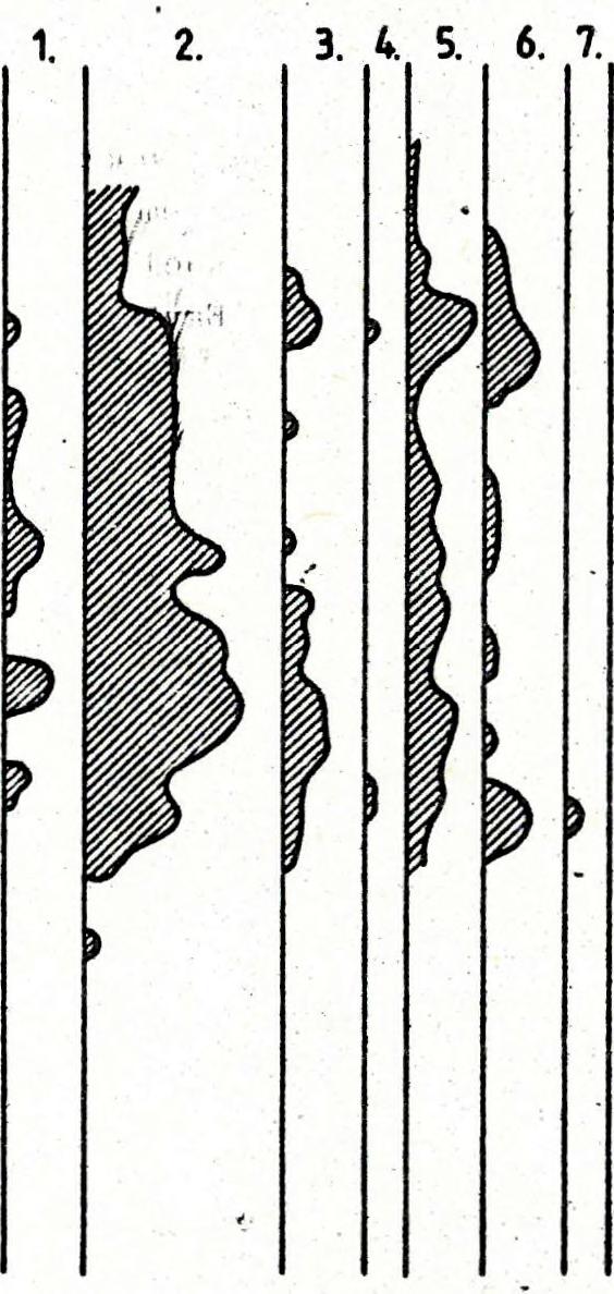 rohri 1stratigraphy Ecplpgical groups of the nannoplankton Sequence Paleodepth based on ptankton/benthic ratíobqfhymetric data Estimated paleodepth 14. ábra. A Balinka-285 az.
