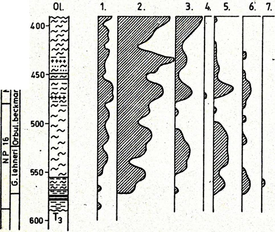 A tran3zgressziós rétegek /formációk/ fáciesében is jelentékeny az eltérés, amint azt VÖRÖS /1987/ is hangsúlyozta. DNy-on 20 m vastag pélites összlet.