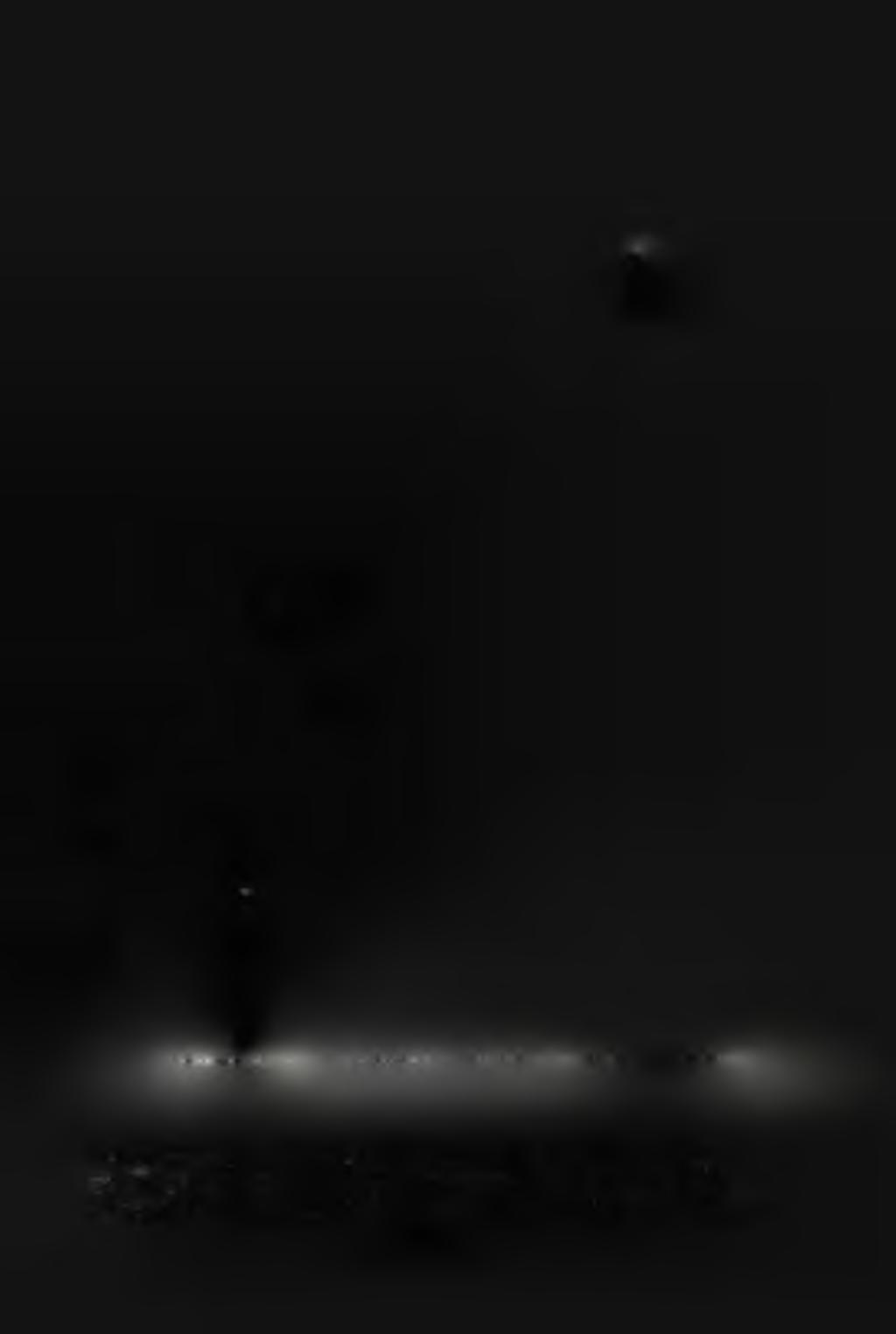200 km Fig. 19.