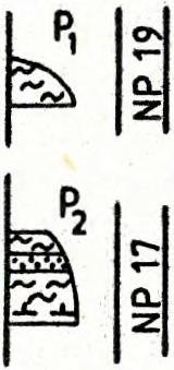 The sequences are represented in the same scale and with reál thicknesses of the layers. The observed thicknesses are in direct proportion to the time span of the deporition fór each formation.