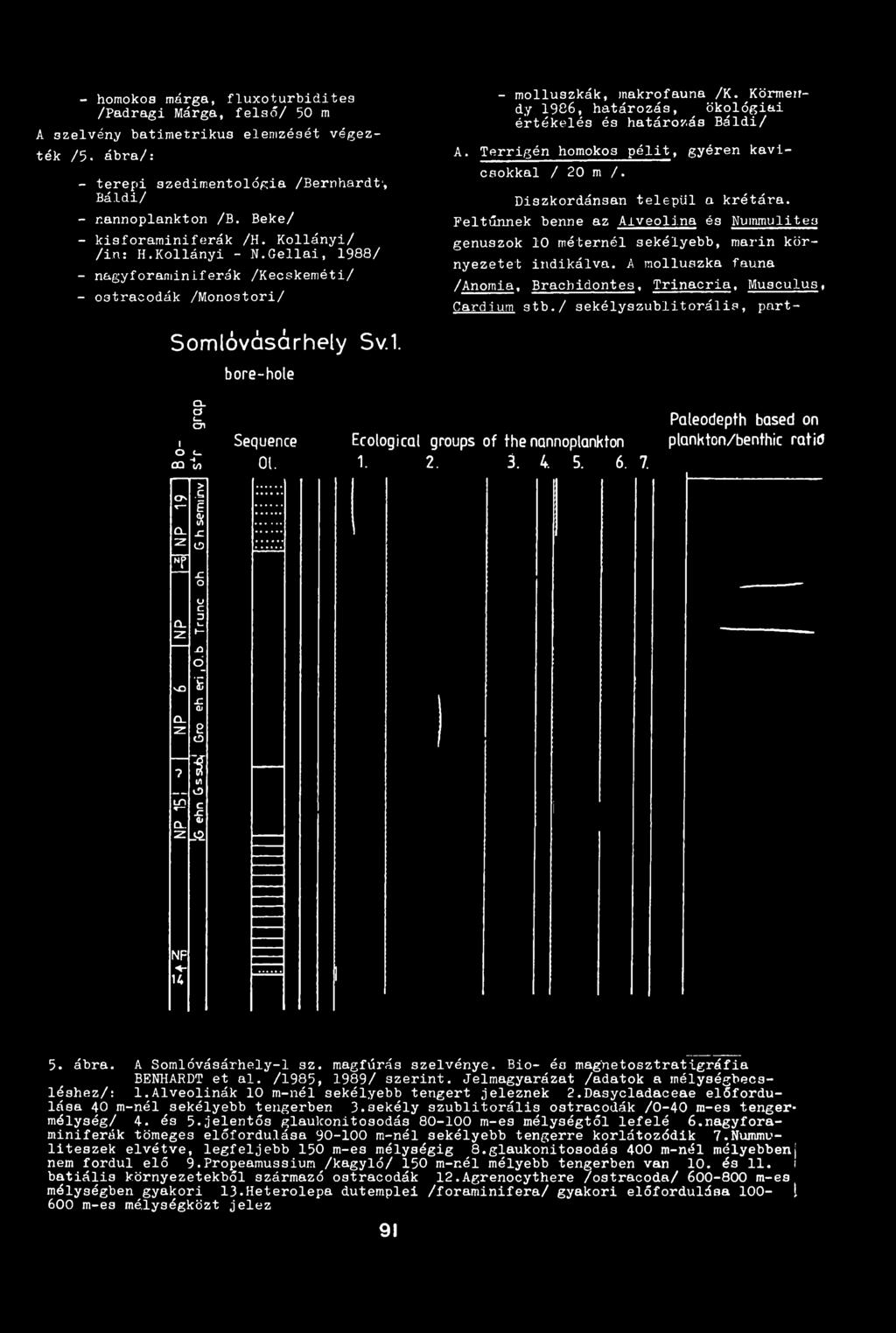 Körmeudy 1 9 8 6, határozás, ökológiai értékelés és határozás Báldi/ A. Terrigén homokos pélit, gyéren kavicsokkal / 2 0 m /. Diszkordánsan települ a krétára.