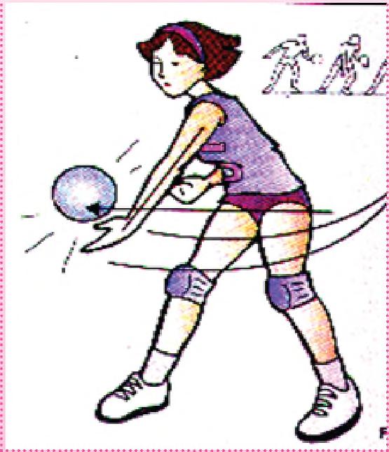 Oñenupava'era pe pelota vevuimi, koichagua saque ndahasyiete ojejoko.