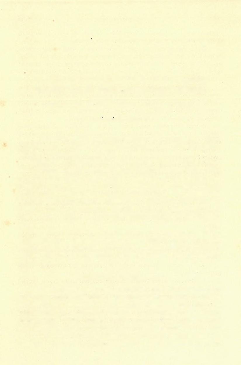 8, A Bega felső folyásában, Faeset, Kostej és Kurtya környékén elterülő dombságnak geológiai viszonyai. (Jelentés az 1903. é v i részletes geológiai fölvételről.) Dr. Iyadic Ottó kár-tói.