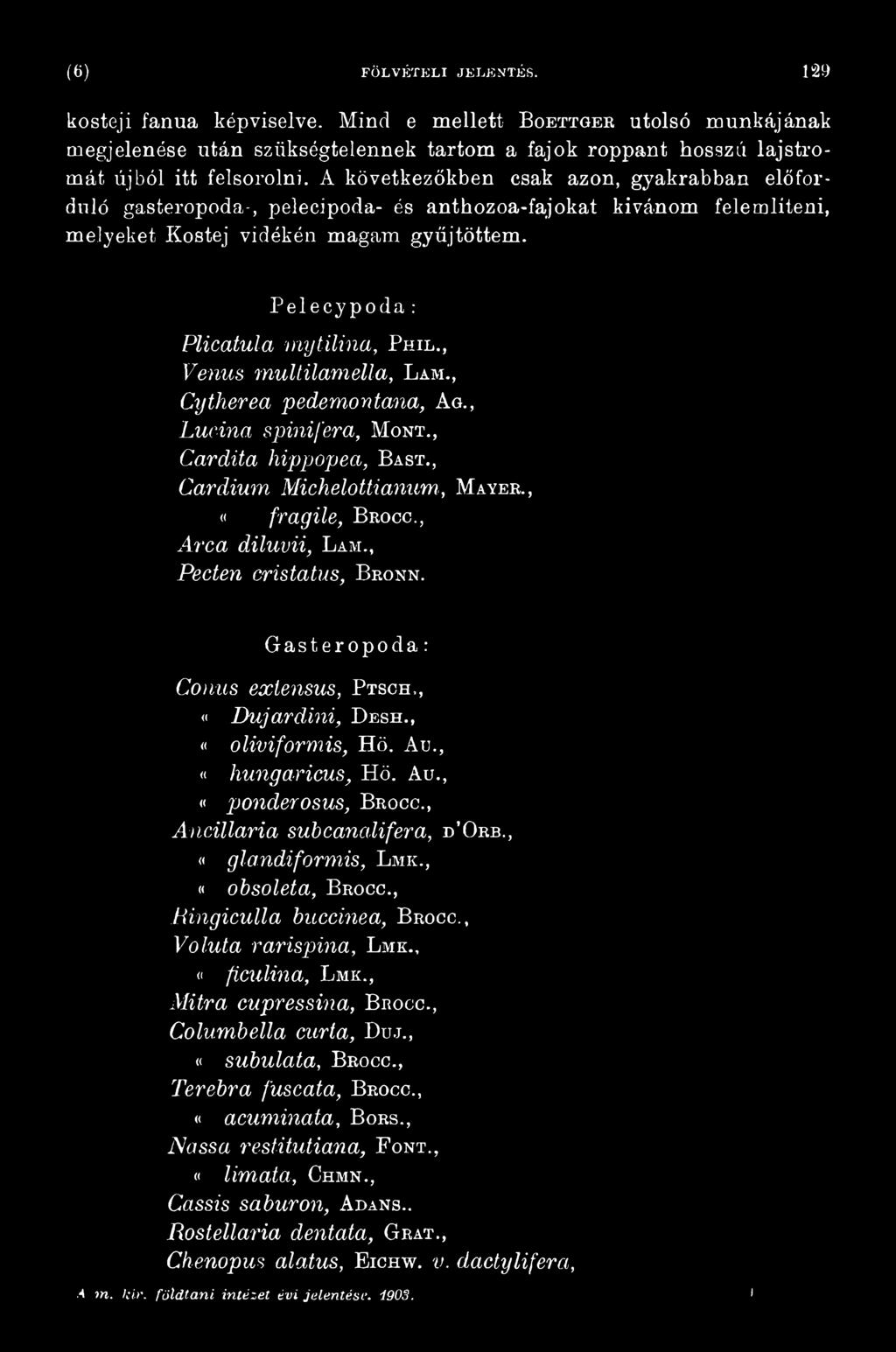 , «hungaricus, Hö. Au., <i ponderosus, Brocc., A n c illa ria súbcanálifera, d Orb., «g la n d iform is, L mk., «obsoleta, Brocc., fíin g ic u lla buccinea, Brocc., V olu ta ra ris p in a, L mk.