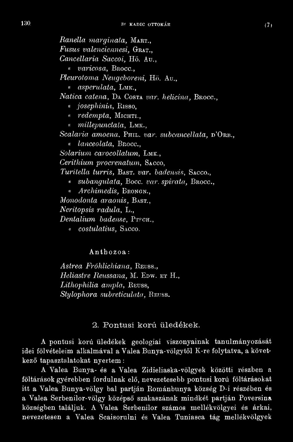, L ith o p h ilia am pla, Beüss, S tyloph ora subreticulata, Beüss. 2. Pontusi korú üledékek.