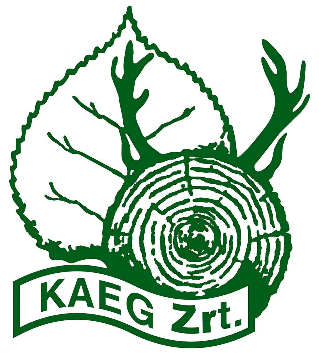 Fekete Teréz Fotók: Kóródi Sándor, Skerlecz András, Szabados Tibor, Fekete Teréz Szerző: Fekete Teréz Közzététel