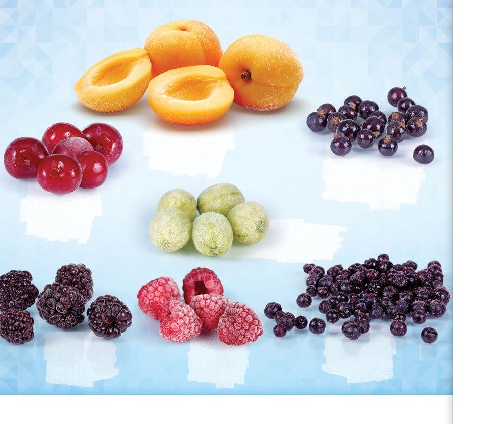 octabines BAGS CARTONS Gyümölcsök Obst Fruits felezett sárgabarack apricot halves Aprikosenhaelften fekete ribizli black currants Schwarze Johannisbeeren meggy sour