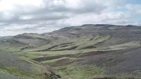 Bændurgræðalandið(BGL) Bændurgræðalandið,BGL Tölurísvigafyrirárið2009 VirkirÞátttakendur Áburður Fræ Svæði Þátttak endur Fjöldi % Tonn Ávirkan þátttakanda kg Ávirkan þátttakanda Suðurland 161(157)
