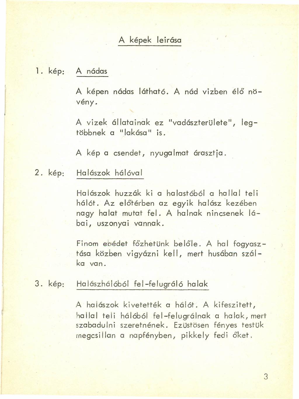 A képek leirása 1. kép: A nádas A képen nádas látható. A nád vizben élő növény. A vizek állatainak ez "vadászterülete", legtöbbnek a II lakása " is. A kép a csendet, nyugalmat árasztja. 2.