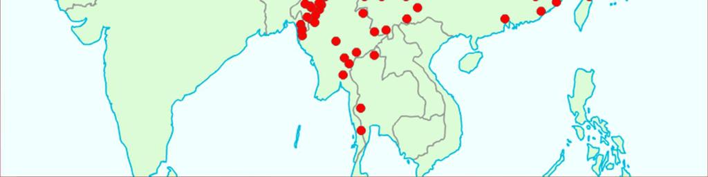 A sino-tibeti nyelvek