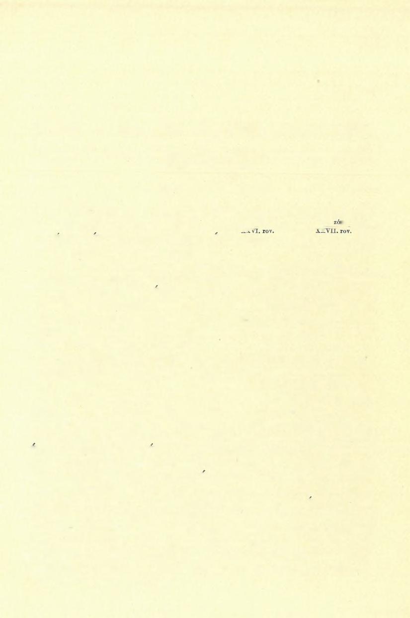 6, Borlova és Pojána Mórul környékének geológiai viszonyai, (Jelentés az 1897-ben a Szarkó-G -odján h eg ycsop ortban végzett részletes geológiai felvételről). Dr.