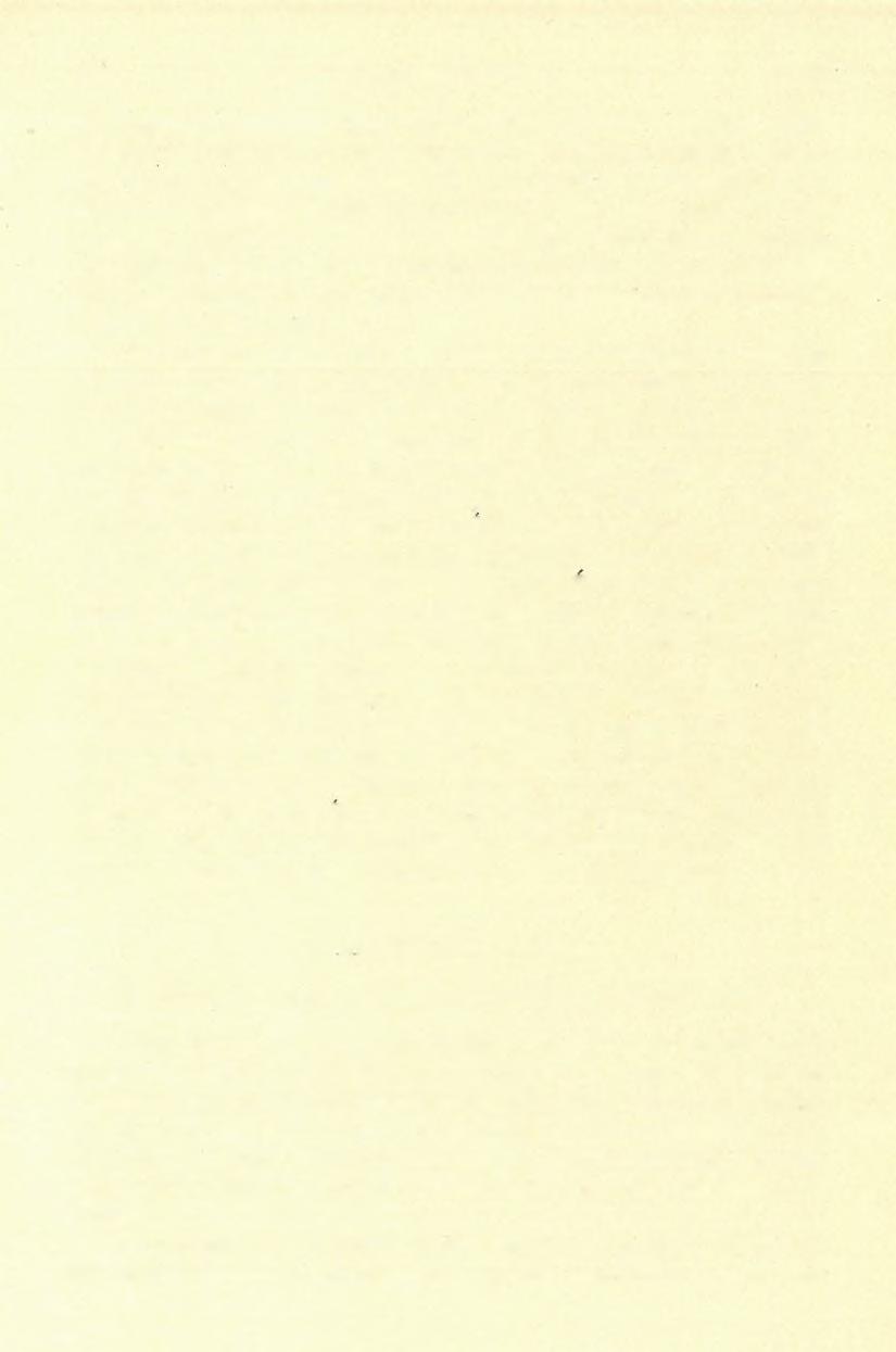 <11) FELVÉTELI JELENTÉS. 1 1 7 Járulékos ásványként az apatit néhány vastagabb szeme szerepel.