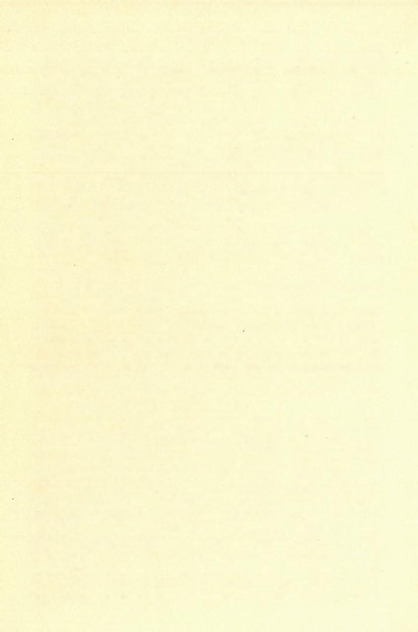 118 Dí SCHAFARZIK FERENCZ. ( 1 2 ) anyaga földpátdús gneisz, amfibolit, titánittartalmú földpátos amfibolit, amíibol-gneisz és végre gabbró.