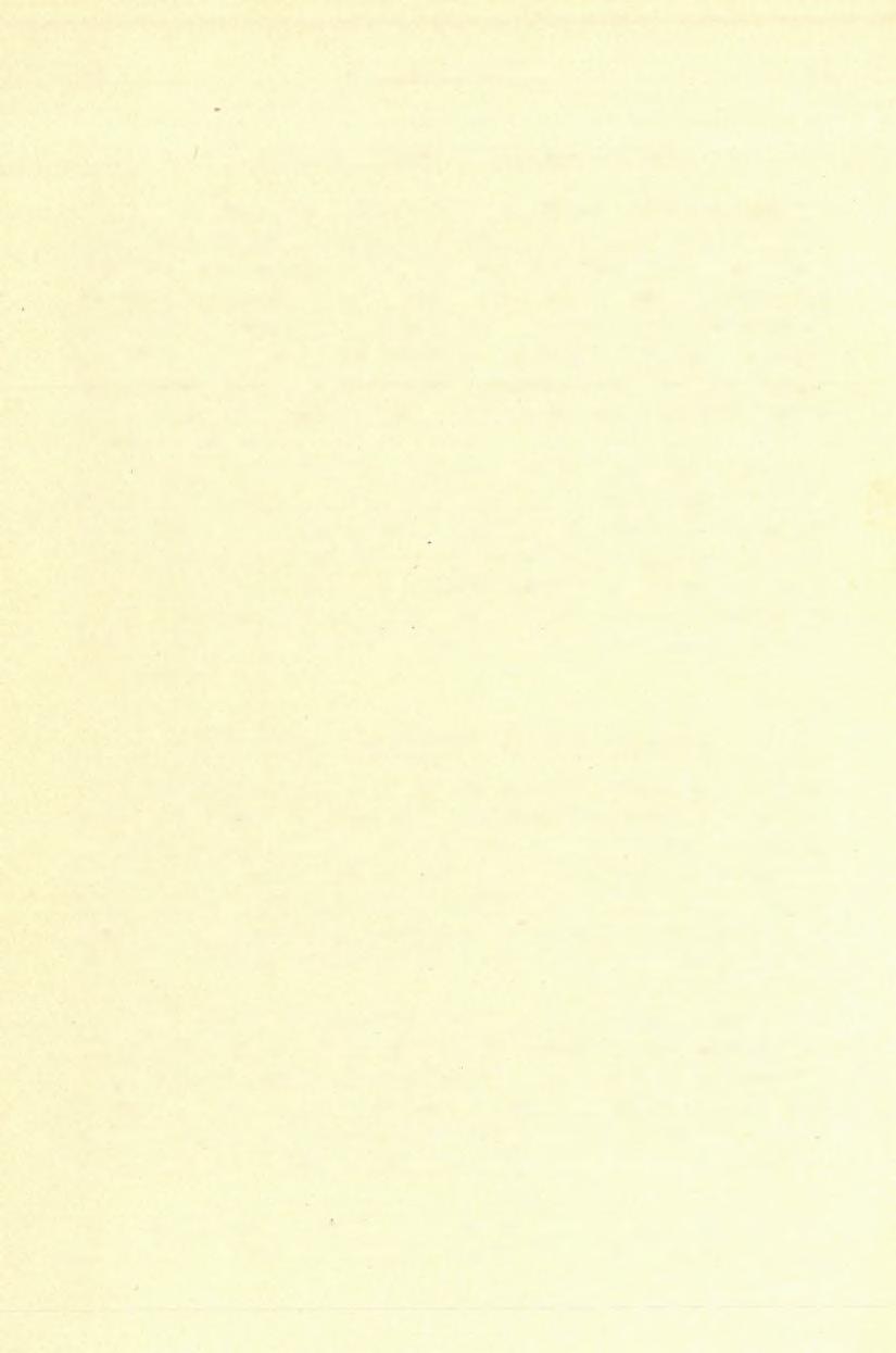 120 DE SCHAFARZIK FERENCZ. ( 1 4 ) 4. A lsó diaszkorú verrukáno rétegek.