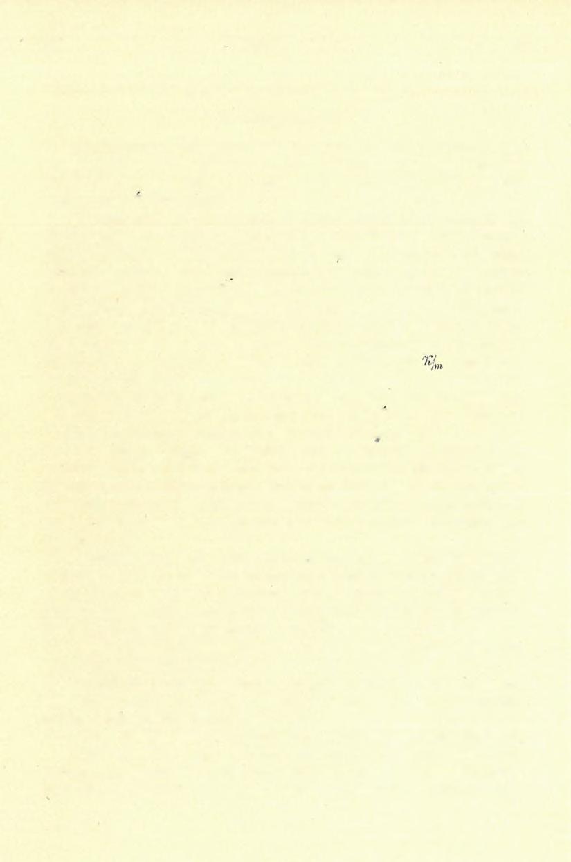 12 4 de SCHAFARZIK FERENCZ. (18) C) Eruptív jellegű kőzeteit. 8. Biotit-gránit. Biotit-gránit területünkön két egymástól 18 191%,, távol, de egymással parallel futó vonulatban lép föl.