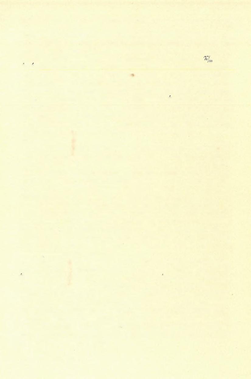 ( 1 9 ) FELVÉTELI JELENTÉS. 1 2 5 völgyig e gránitot már StubD.