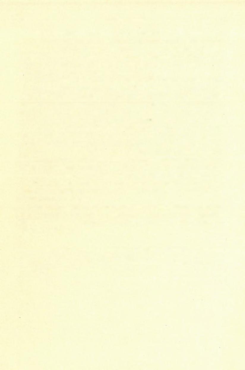 108 D.t SCHAFABZIK FERENCZ.