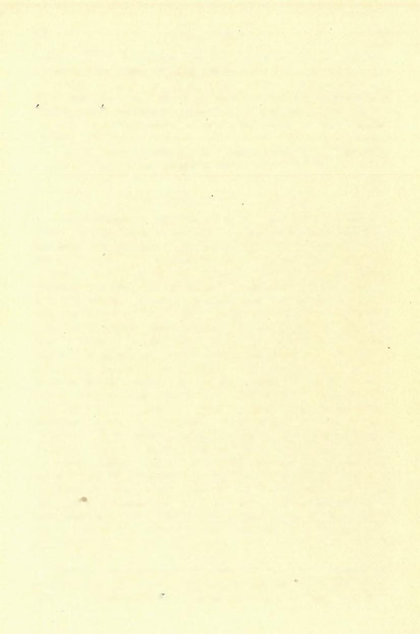 (21) FELVÉTELI JELENTÉS. 1 2 7 hanem az által is különböznek protoginunk palásabb módosulataitól, hogy bennök már az amfibol is kezd jelentkezni.