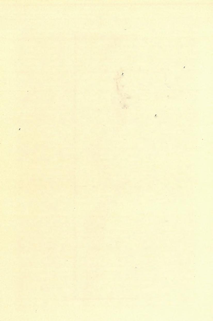 1 3 2 D.í SCHAFARZIK FERBNCZ. (2 6 > úgyszintén a velők határos III. csoport palái is. Szigorúan ugyanolyan irányt tart a Muntye mik protogin-gránitja is. Feltűnik azonban területünk ÉK-i részén a Yu.