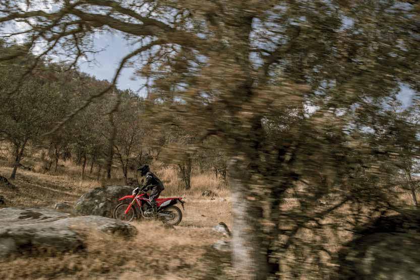 BÁRMIRE KAPHATÓ A CRF250R stílusában folytatja pályafutását a sokoldalú, bármilyen szerepkörre alkalmas CRF250L.