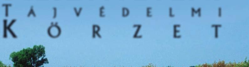 A 22/1997. (VIII. 1.