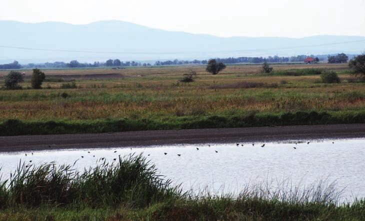 A korábbi egyenletes síkságon mélyedések keletkeztek, melyek egyike a Borsodiártér. A Tisza szertelenül kanyarogva, újabb és újabb medret elfoglalva haladt át ezen az igen kis esésű területen.