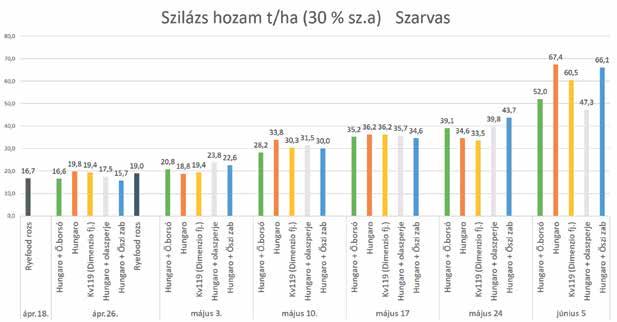 Rozs és triticale fajtáink új hasznosítási lehetőségei 1.ábra: Hungaro triticale, Dimenzio fj.