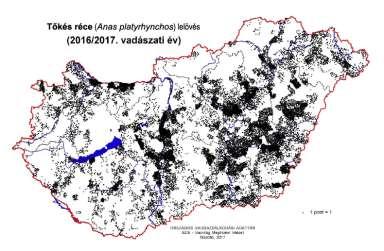 Adattár - 216/217.