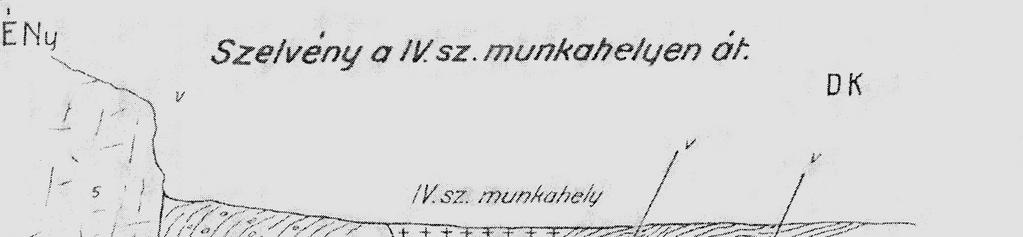 Röviden a szerzőkről: