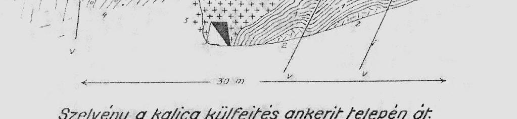 (1880-1940) geológus,