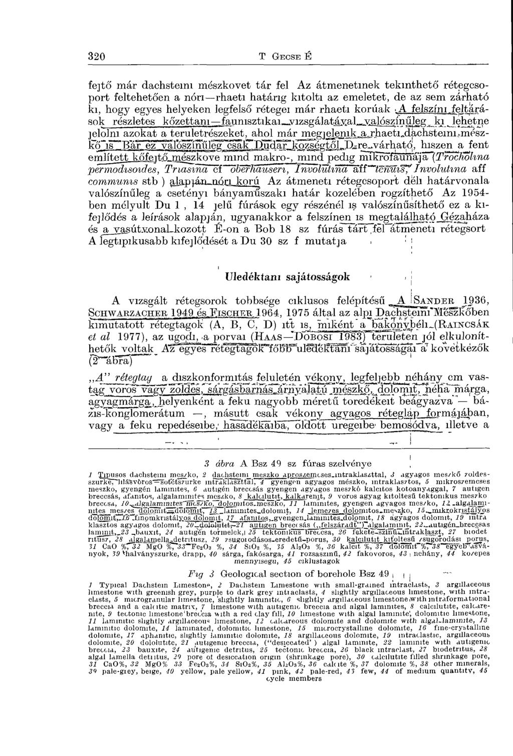 fe]tő már dachstemi mészkövet tár fel Az átmenetinek tekinthető rétegcsoport feltehetően a non rhaeti határig kitölti az emeletet, de az sem zárható ki, hogy egyes helyeken legfelső rétegei már