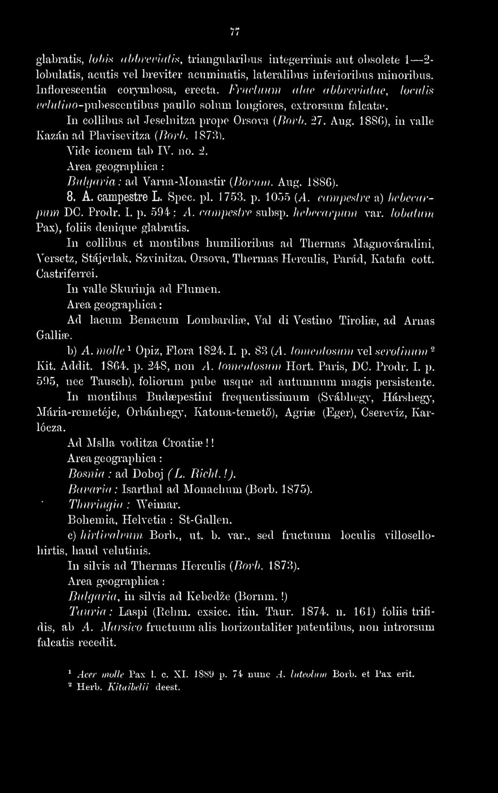 188G), in valle Kazán ad Plavisevitza {Borh. 187?)). Vide iconem tab ly. no. 2. Area geogi-apbica : Bnlfinria : ad Varna-Monastir [Bornni. Aug. 1886). 8. A. campestre L. Spec. pi. 1753. p. 1055 [A.