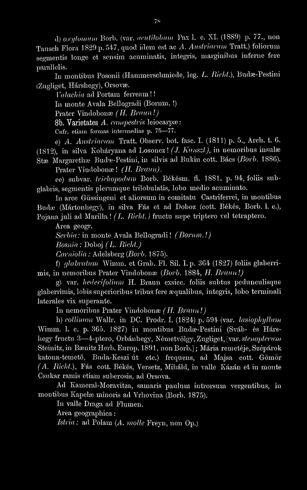 Valachia ad Portám ferream!! In monte Avala Bellogradi (Bornm.!) Prater VindoboníB (H. Braun!) 8b. Varietates A. cmnpestris leiocarpœ : Cnfr. etiani formas intermedias p. 75 77. e) A. Austnacmn Tratt.