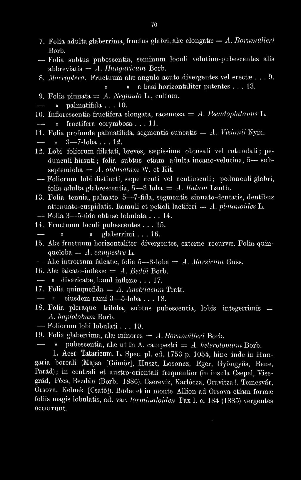 Inflorescentia friictifera elongata, racemosa = A. Pseudoplataniis L. fructifera corymbosa... 11. 11. Folia profunde palmatifida, segmentis cuneatis = A. Visio mi Nym. (( 3 7-loba... 13. ["2.