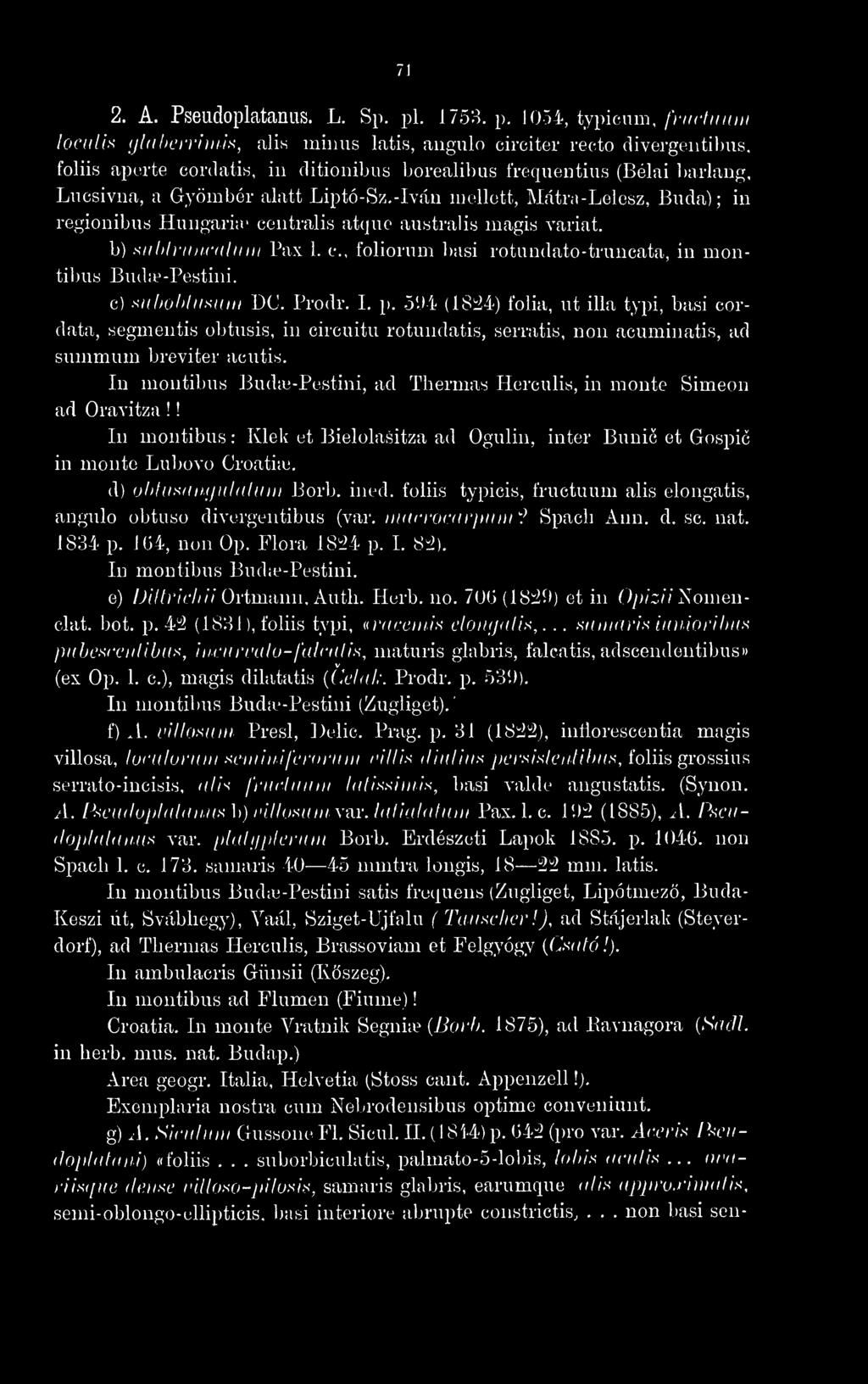 I0ô4, typicum, frtictunm locidis /jldherriniis, alis minus latis, angulo circiter recto divergentilius, foliis aperte cordatis, in ditionibus boi-eali])us frequentius (Bélai barlang, Lucsivna, a
