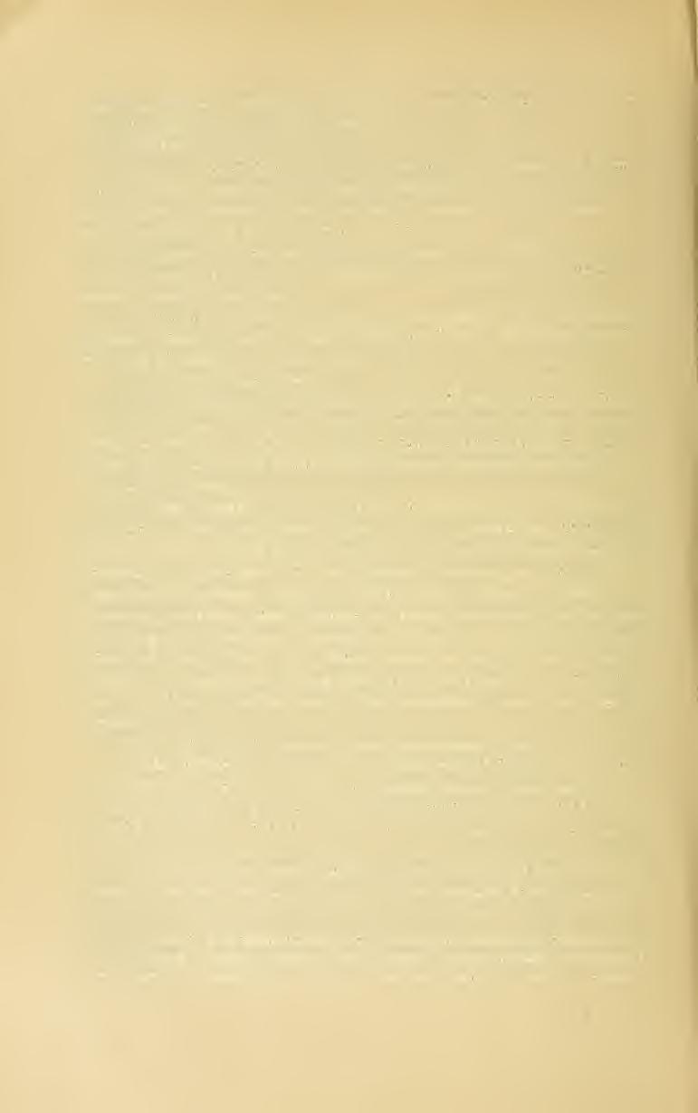 72 sim attenuatis ut in spéciéi typo.» His verbis vai\ Nehrocleme Pax 1. c. 192 var. Siculo Guss. locum cedere debet. Habitat in Sicilia. gg) subvar. subparallehmi Borb. ined.