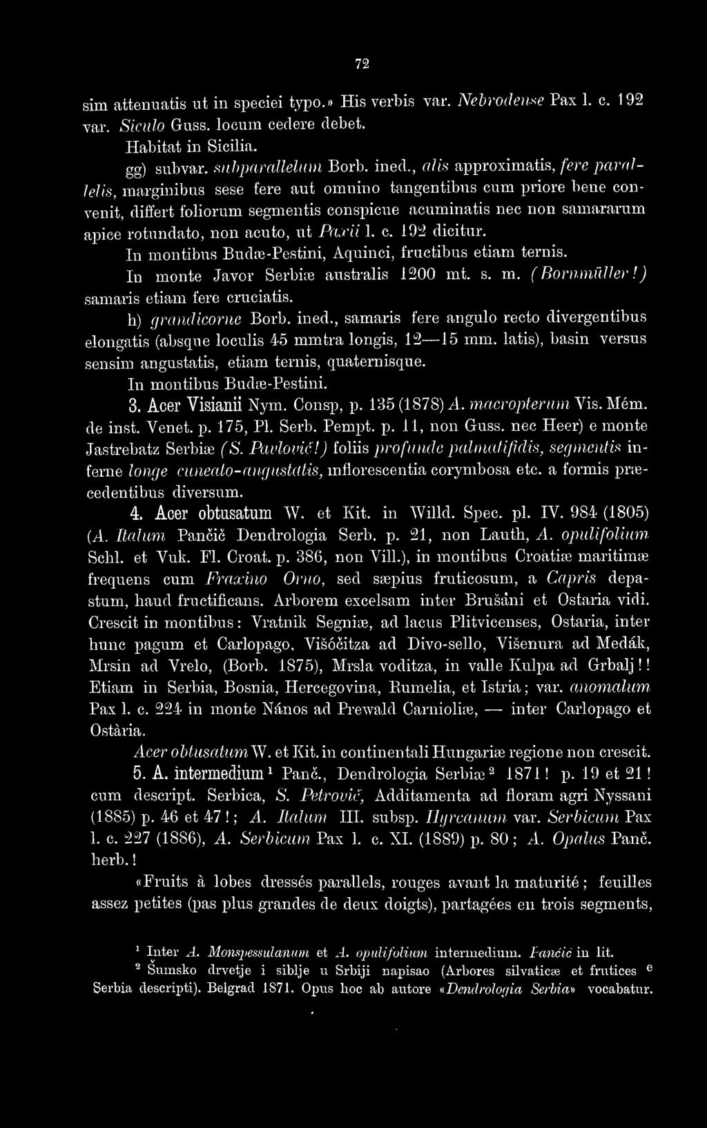etiam ternis, quaternisque. 3. Acer Visianii Nym. Consp, p. 135 (1878) A. macropterumyi^.mêm. de inst. Vénet. p. 175, Pl. Serb. Pempt. p. 11, non Guss. nec Heer) e monte Jastrebatz Serbia3 (S.