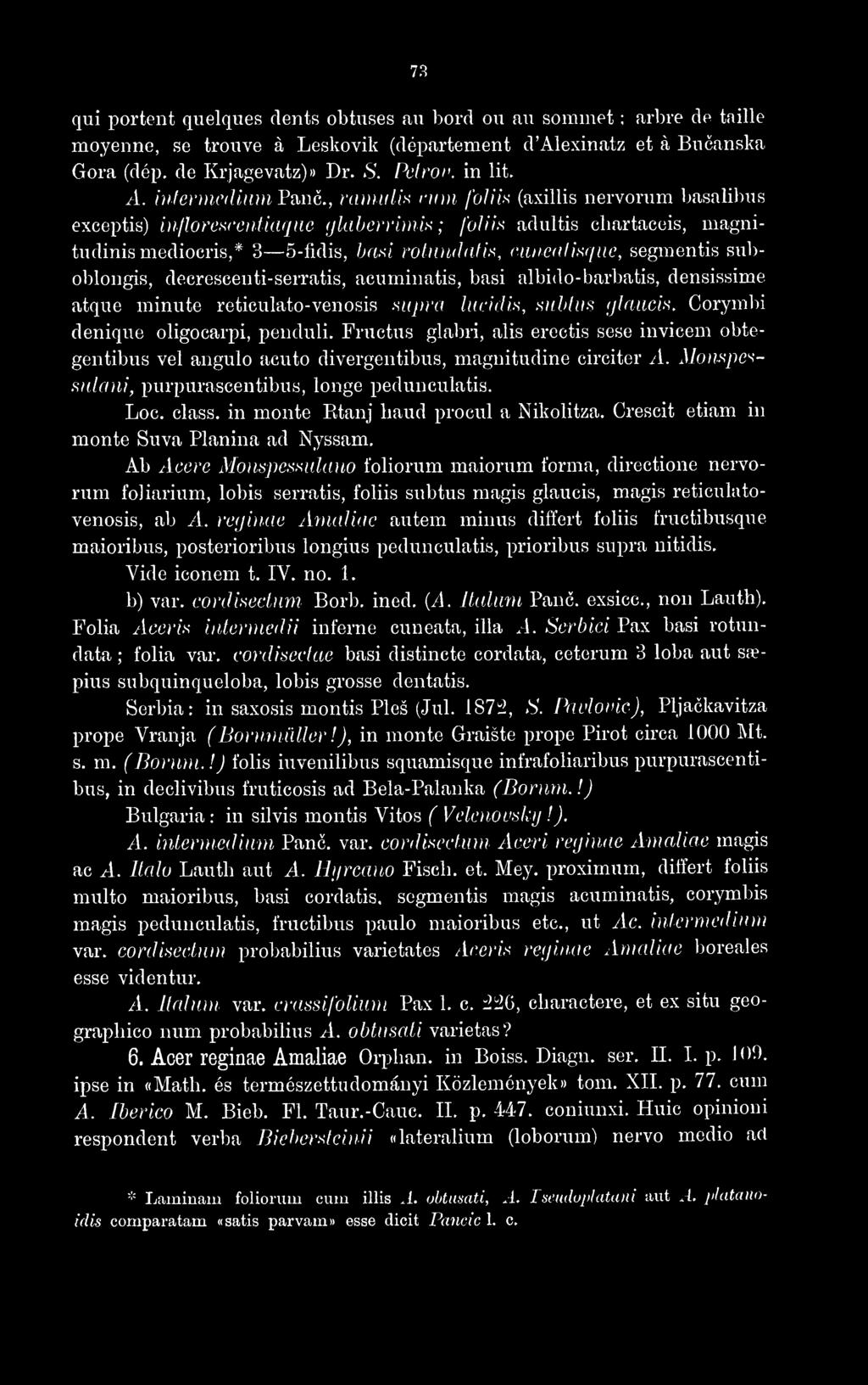 ^ (axillis nervorum basalibus exceptis) uifloresœidiaqiw fjlaberrimis ; folm adultis chartaceis, magnitudinismediocris,* 3 5-fidis, had rotundatih, cmiealmiuc, segmentis suboblongis,