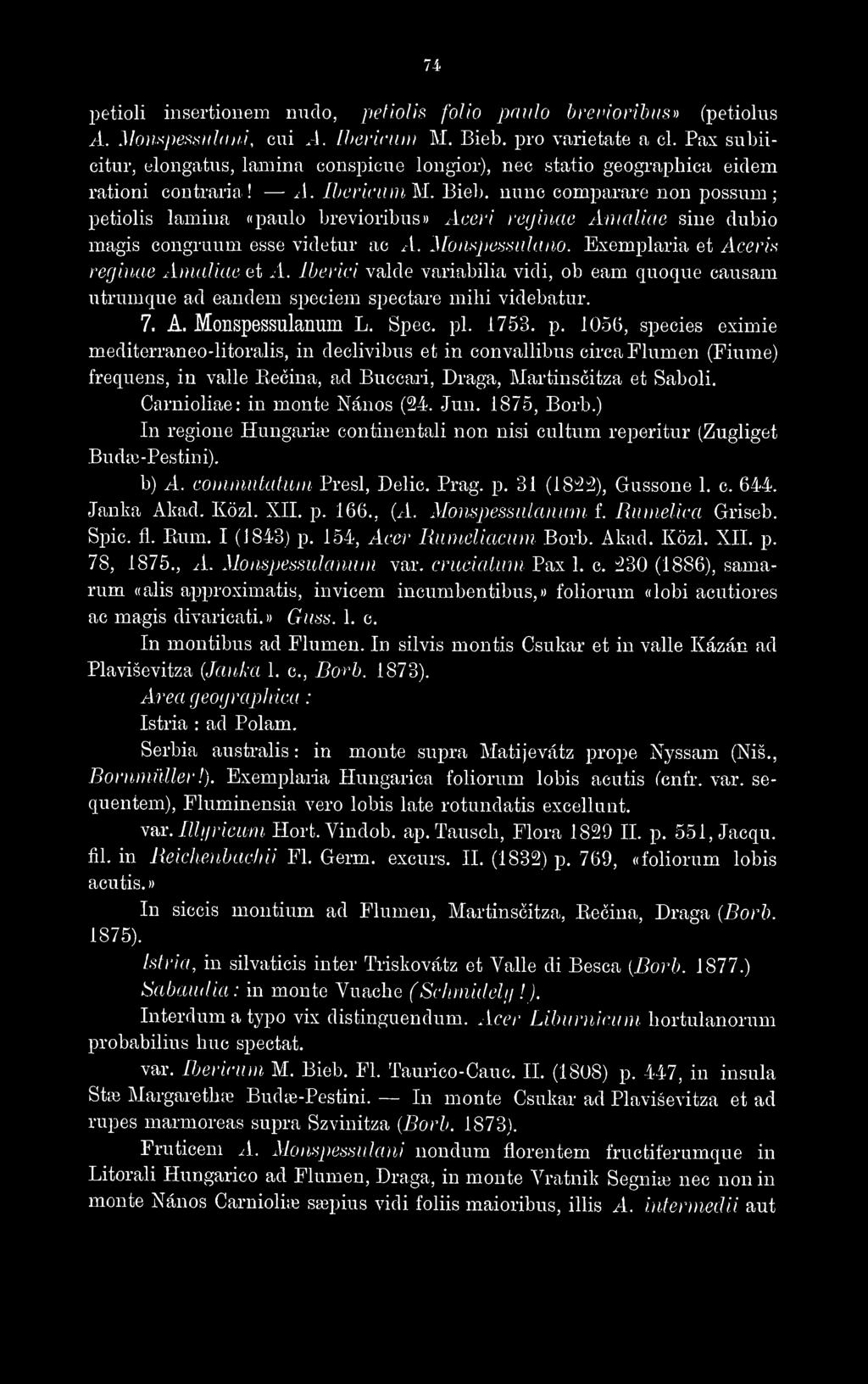 nunc comparare non possum; petiolis lamina «paulo brevioribus»> Aceri reijiiiae ArnaUae sine dubio magis congruum esse videtur ac A. Monspessidano. Exemplaria et /Icer/.s reginae Amaliae et A.
