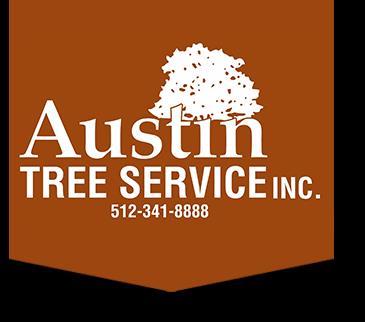 net Website:www.cynthiamaguire.remaxtexas.