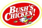 Rock, Texas Bush s