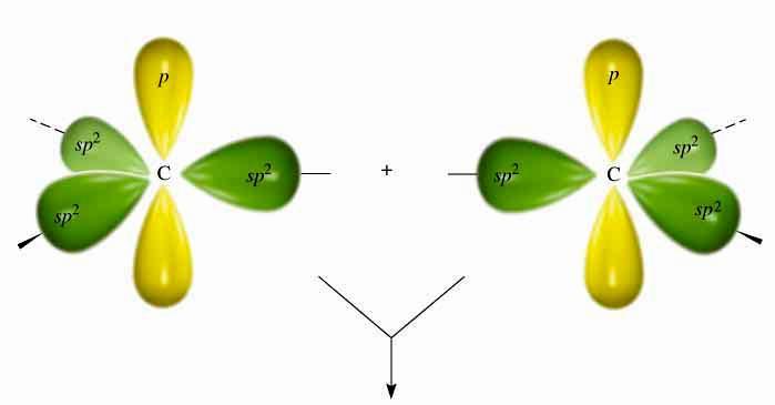 Etilén A két sp hibrid C atom + p