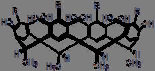 2. ábra Rezorcinarén származékok szerkezeti képlete R= CH 3 ; 2-metil-C-tetra-metilcalix[4]