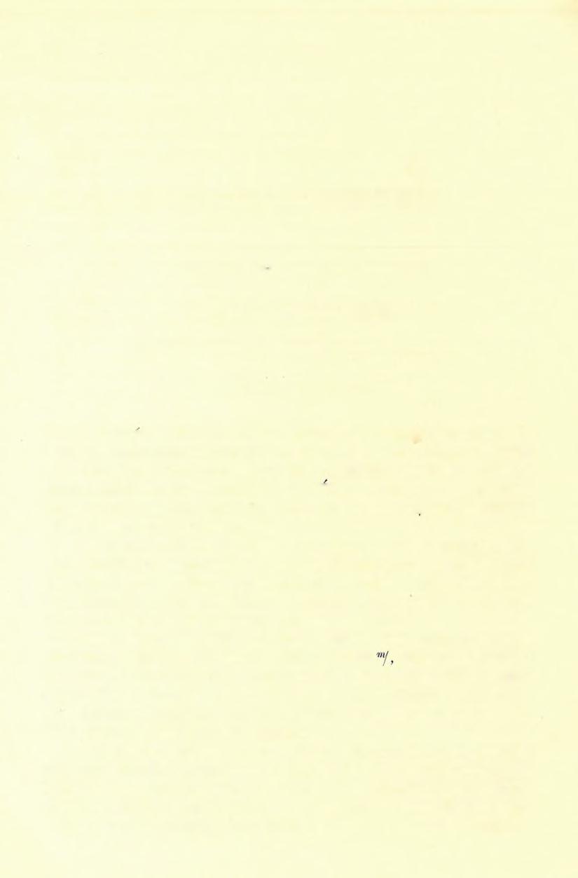 H. FELV É TELI JELENTÉSEK. A) Hegyvidéki országos felvételek. 1. Kabola-Polyana vidéke. (Jelentés az 1892. évi földtani részletes felvételről.) Dl'. POSEWITZ TlVADAB-tÓl.